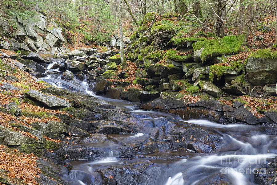 Nature Photograph - Whitcher Brook - Benton New Hampshire by Erin Paul Donovan