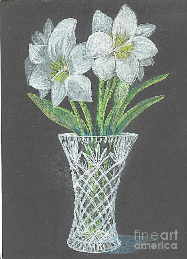 White Amaryllis Drawing by Carol Wisniewski