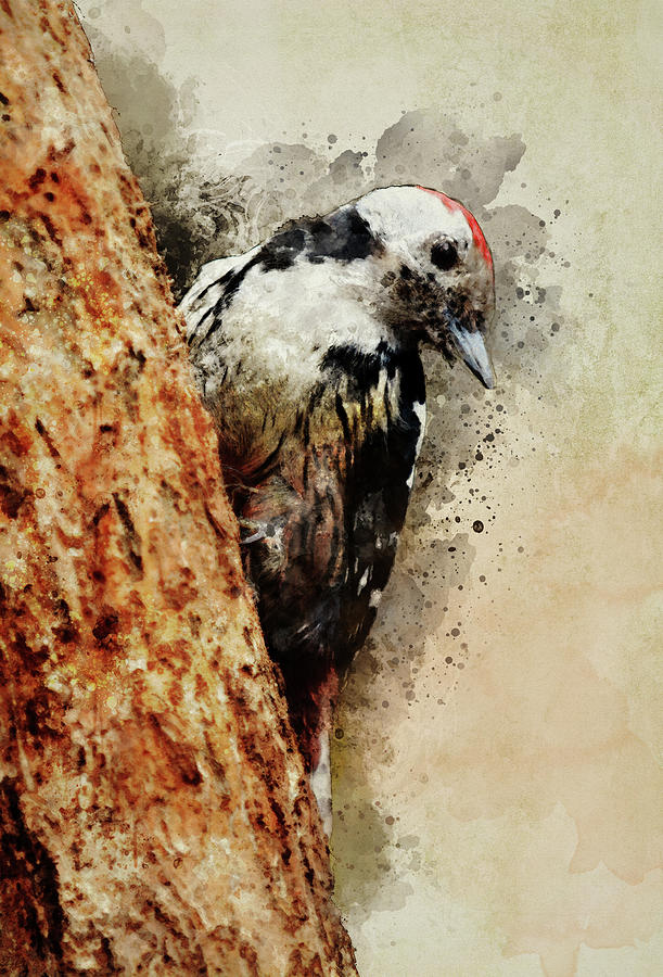 White and black woodpecker Painting by Jaroslaw Blaminsky