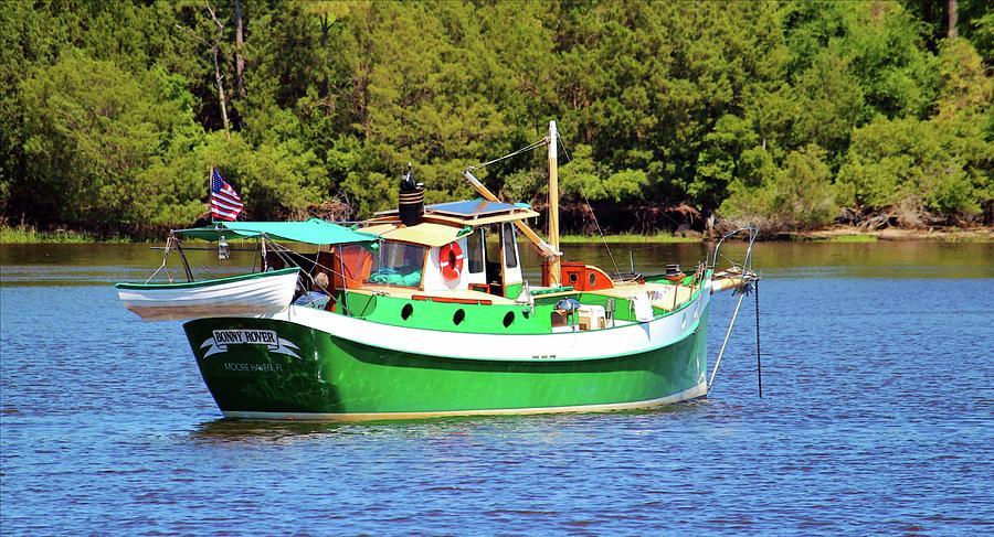 White And Green Boat Photograph by Cynthia Guinn