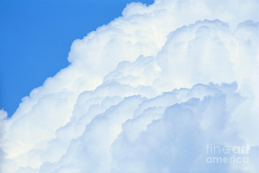 White And Puffy Photograph by Erik Aeder - Printscapes