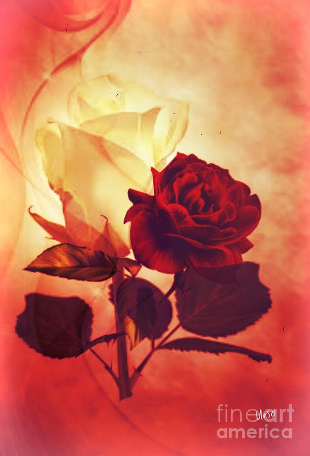White and Red Roses Digital Art by Maria Urso