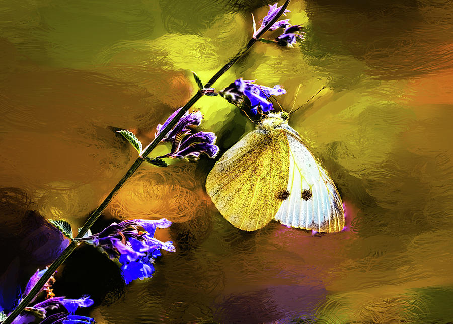 White and yellow butterfly #h2 Mixed Media by Leif Sohlman