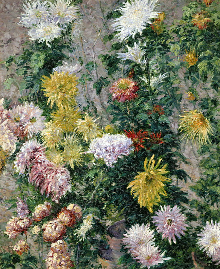 White and Yellow Chrysanthemums Painting by Gustave Caillebotte