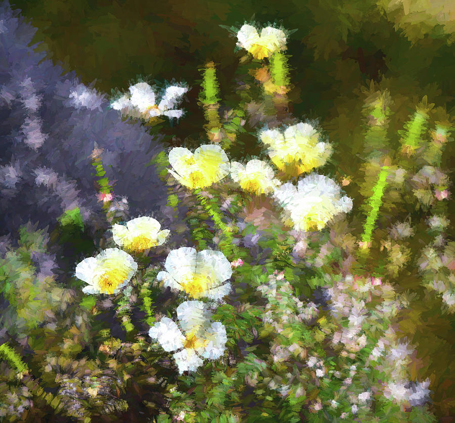 White and Yellow Poppies Abstract 2   Digital Art by Linda Brody