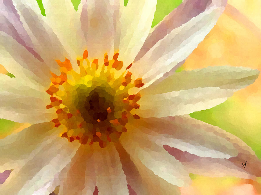White Anemone Flower Digital Art by Shelli Fitzpatrick