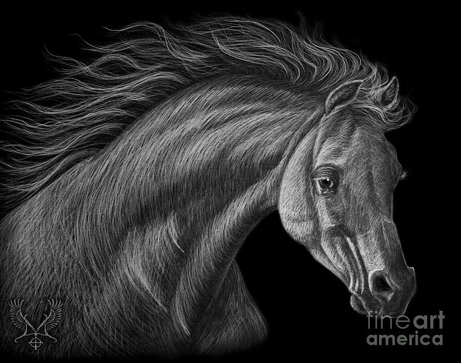 White Arabian  Drawing by Dale Crum