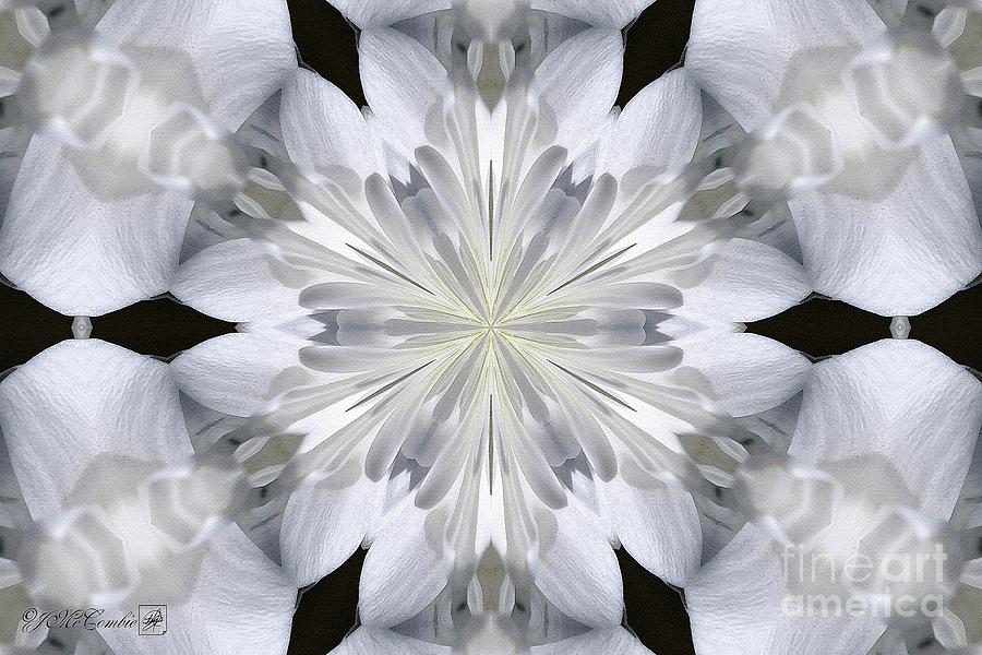 White Arctic Queen Kaleidoscope Painting by J McCombie