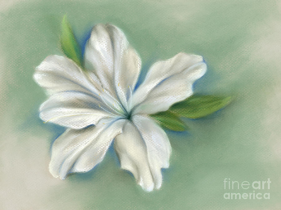 White Azalea Flower Painting by MM Anderson