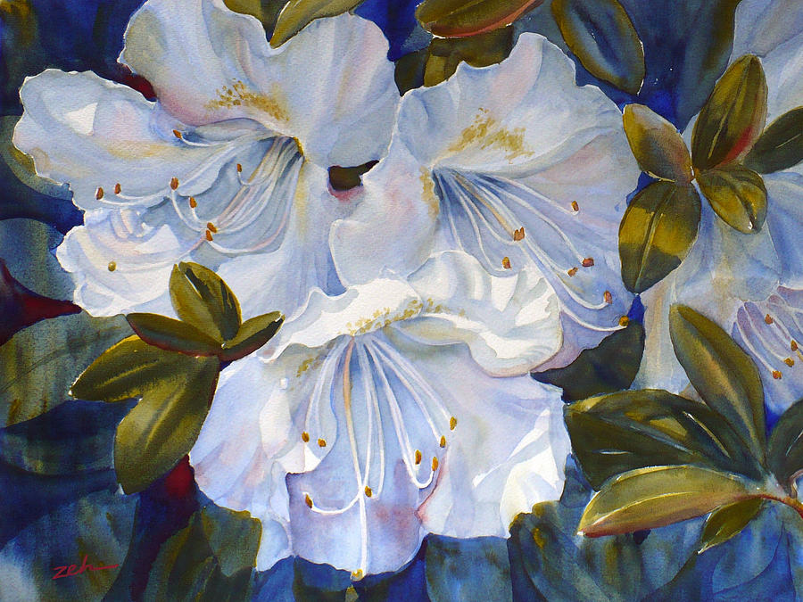 White Azaleas Painting by Janet Zeh