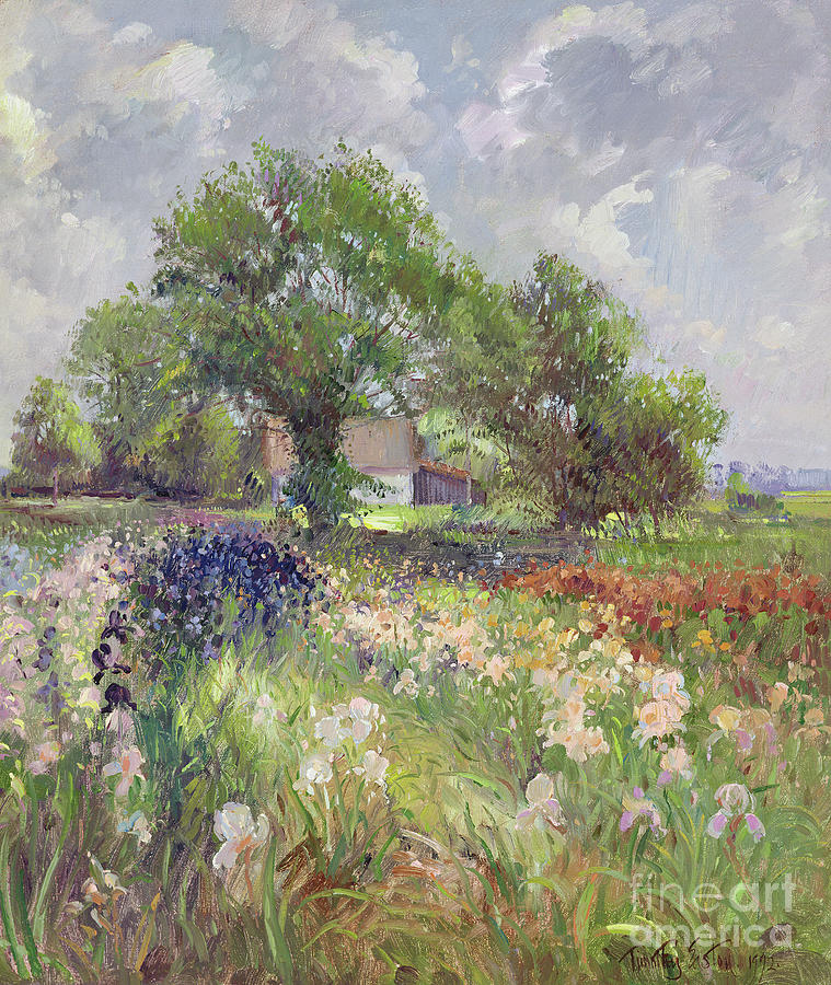 White Barn and Iris Field Painting by Timothy Easton
