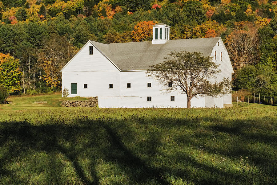 White Barn In Color Photograph by Tom Singleton