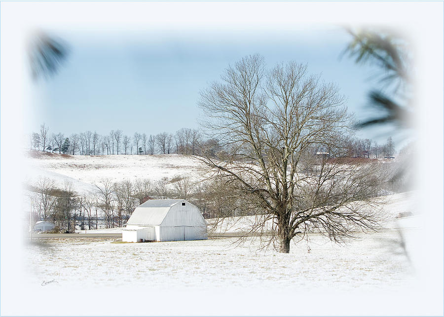 White Barn In Snow Photograph by Randall Evans
