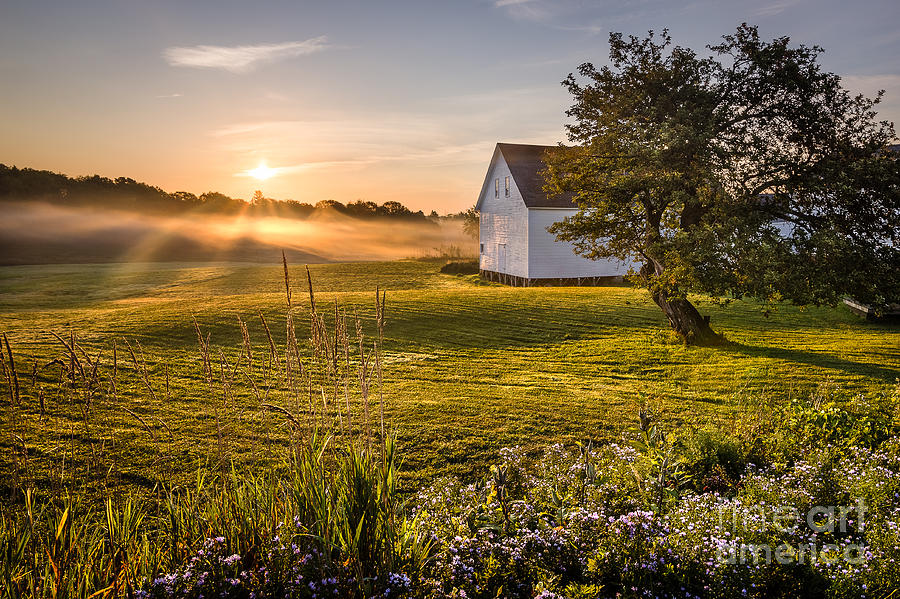 White Barn Sunrise Photograph by Benjamin Williamson