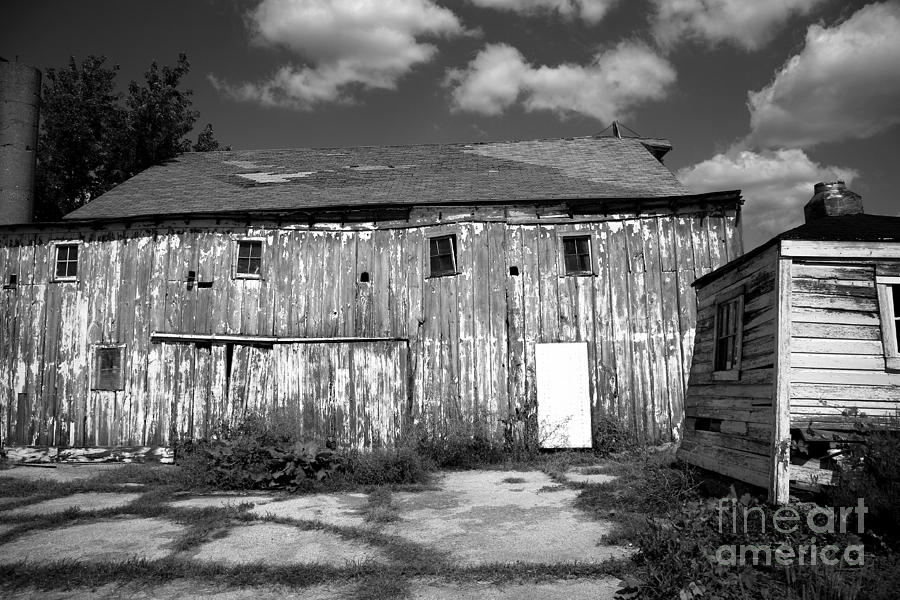 White Barn Photograph by Timothy Johnson