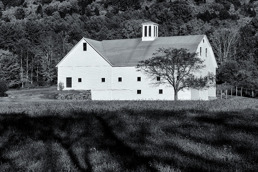 White Barn Photograph by Tom Singleton