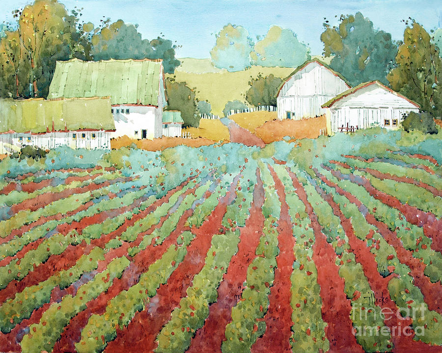 White Barns in Virgina Painting by Joyce Hicks