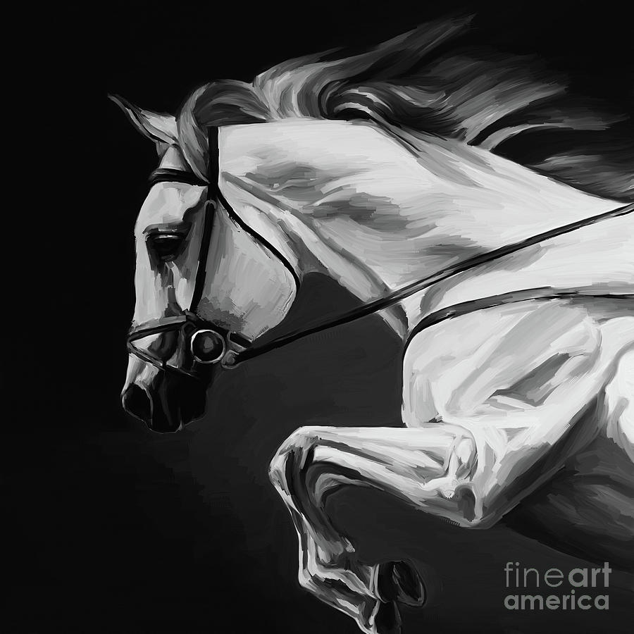 White Beautiful Horse B and W Painting by Gull G