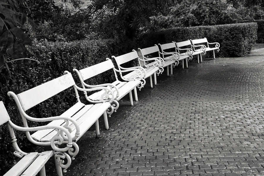 Black And White Photograph - White Benches-  by Linda Wood Woods by Linda Woods