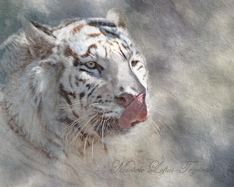 White Bengal Tiger Digital Art by Michele A Loftus