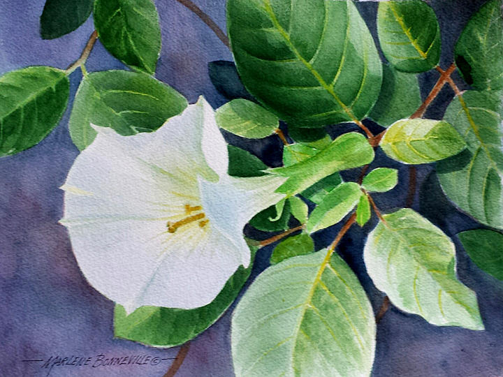 Garden Painting - White Blossom by Marlene Bonneville