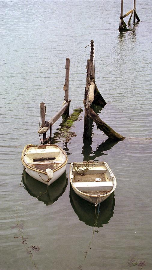White Boats Photograph by Philip de la Mare