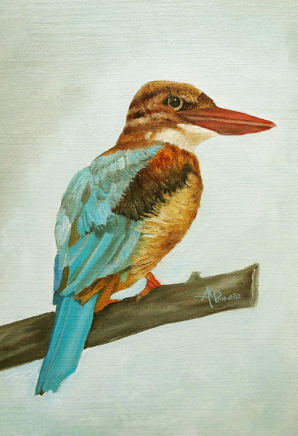 Kingfisher Painting - White Breasted Kingfisher by Angeles M Pomata