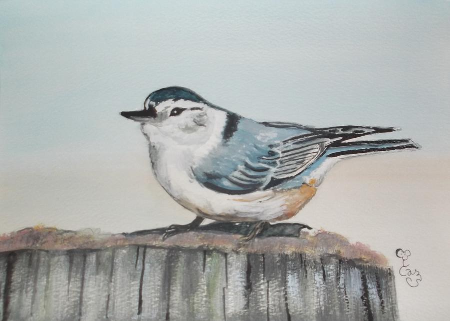 White breasted nuthatch Painting by Carole Robins