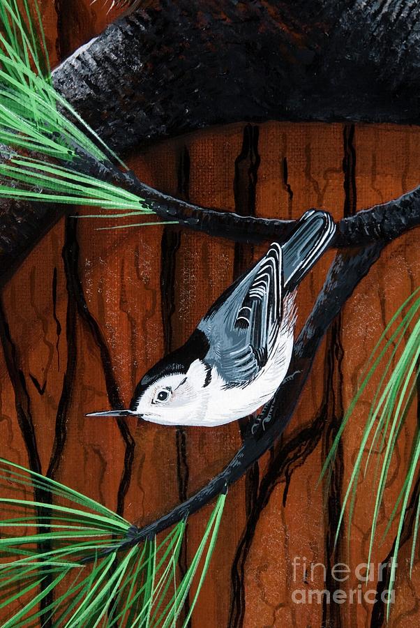 Nature Painting - White breasted Nuthatch by Jennifer Lake