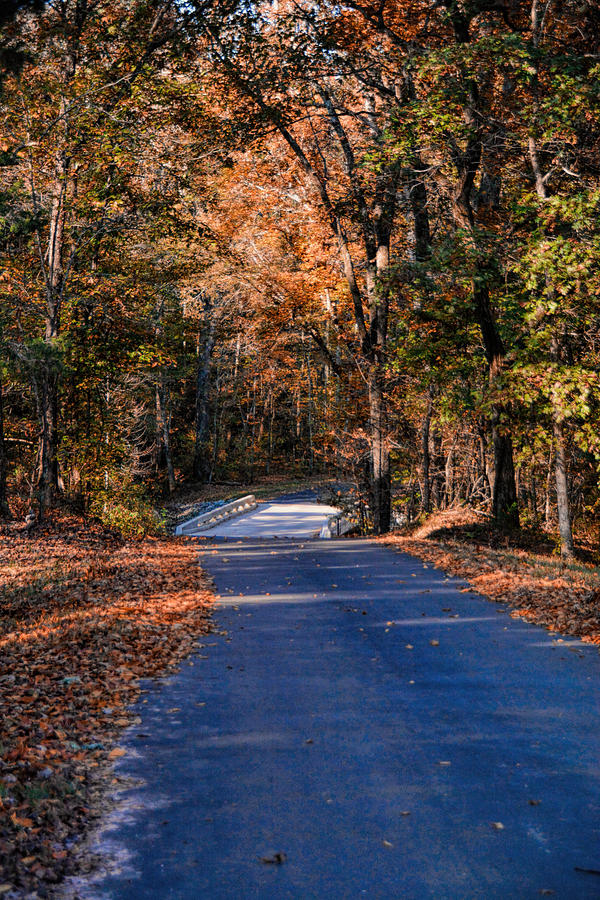 White Bridge In Autumn In Shiloh Tennessee 102020159462 Photograph