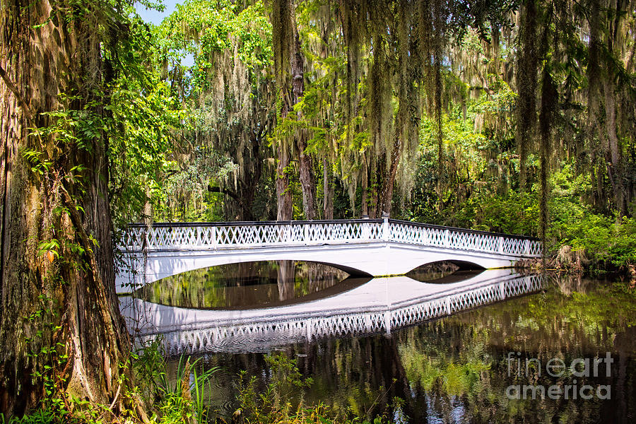 White Bridge Of Magnolia Plantation Photograph by Sharon McConnell