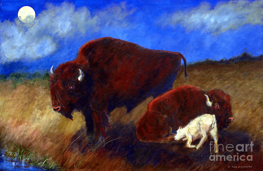White Buffalo Calf Painting by Doris Blessington