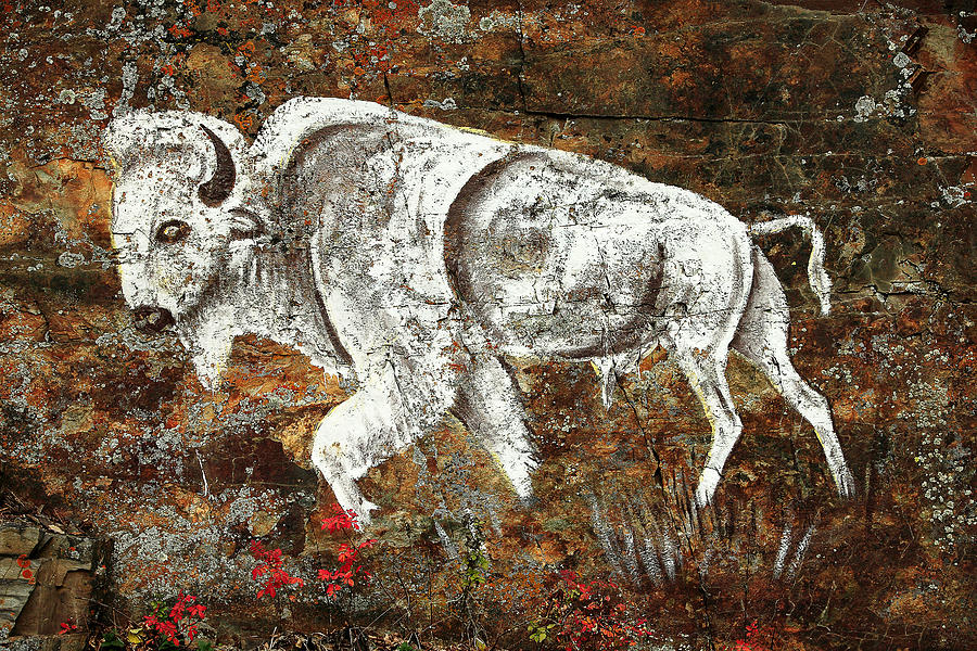 Prehistoric Photograph - White Buffalo by Todd Klassy