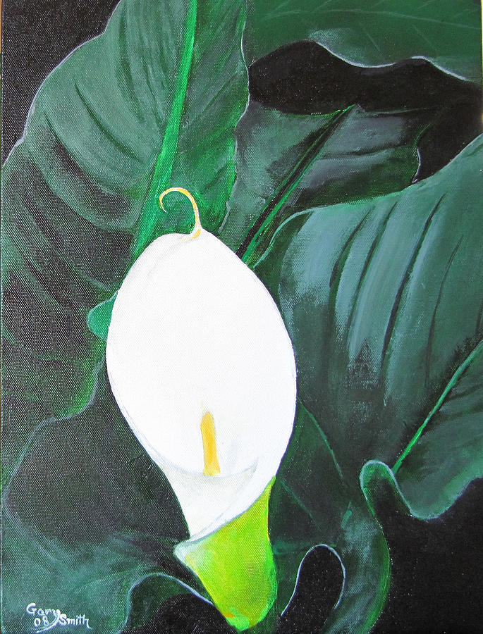 White Cala Lily Painting by Gary Smith