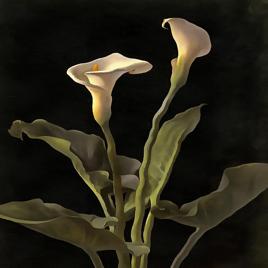 White Calla Lilies On A Black Background Painting by Taiche Acrylic Art