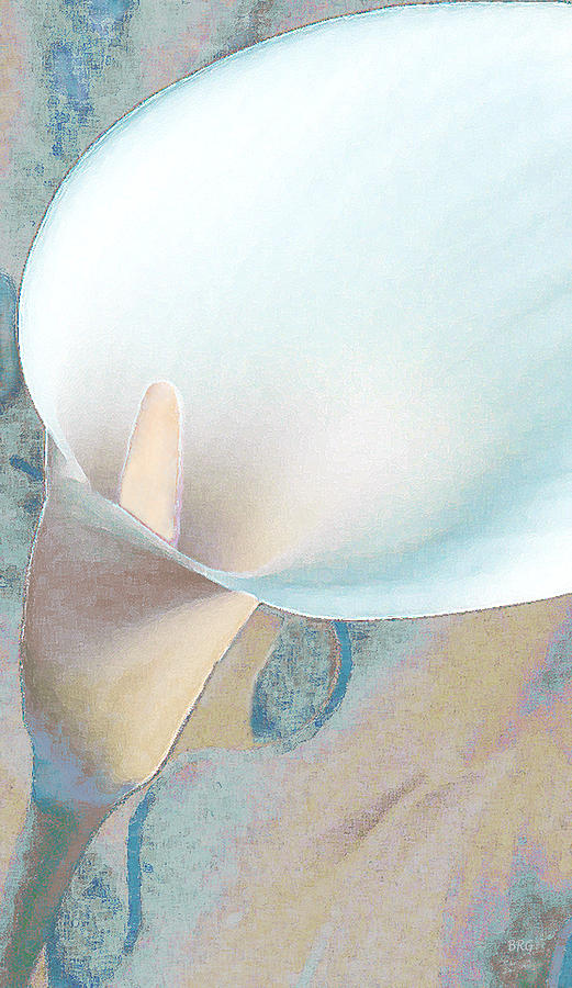 White Calla Lily In Pastel Colors Photograph
