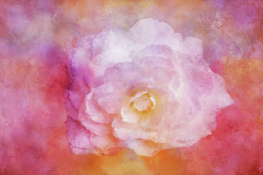 White Camellia Texture Digital Art by Terry Davis