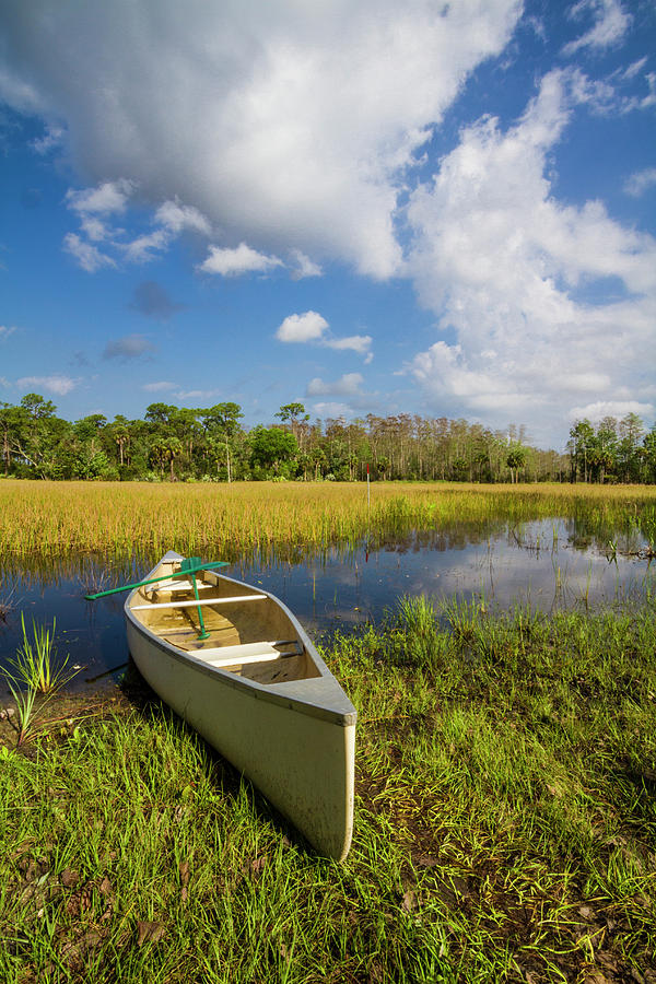 White Canoe in the Glades  Photograph by Debra and Dave Vanderlaan