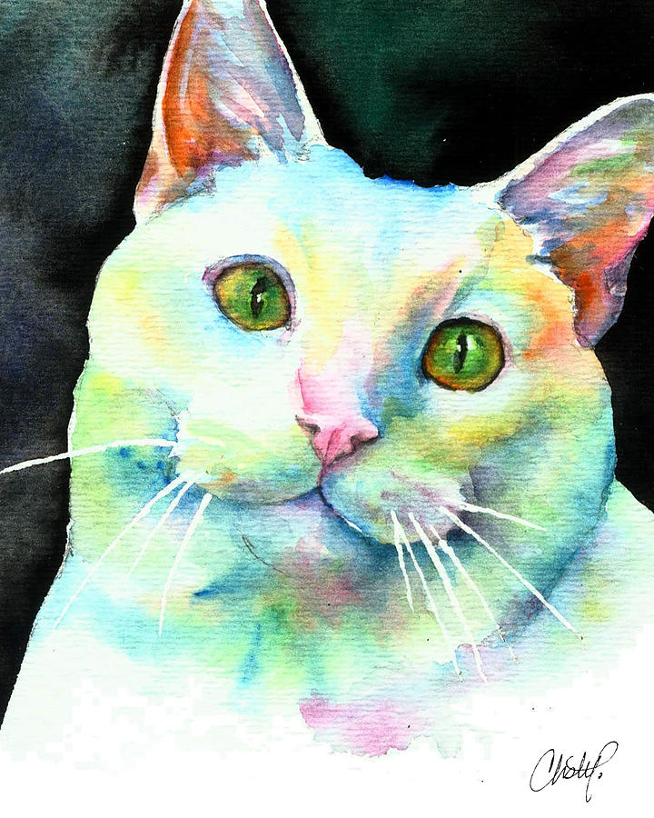 White Cat by Christy Freeman Stark White Cat by Christy Freeman Stark