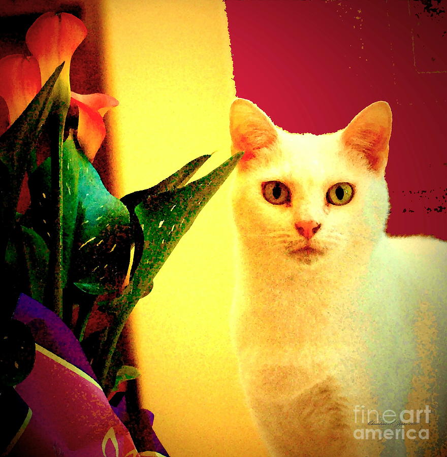 White Cat With Calla Lilies Photograph By Christine S Zipps Fine Art 5786