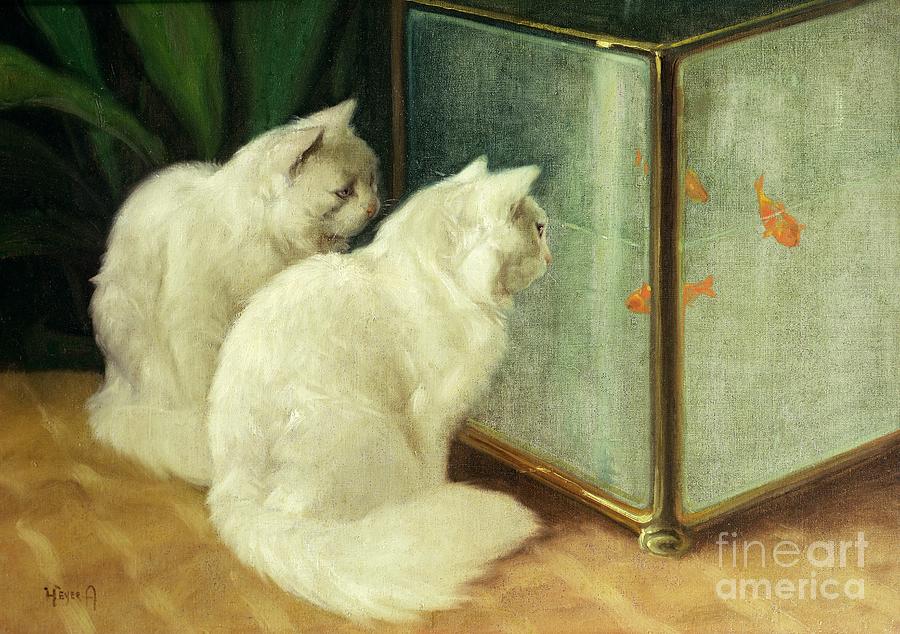 White Cats Watching Goldfish Painting by Arthur Heyer