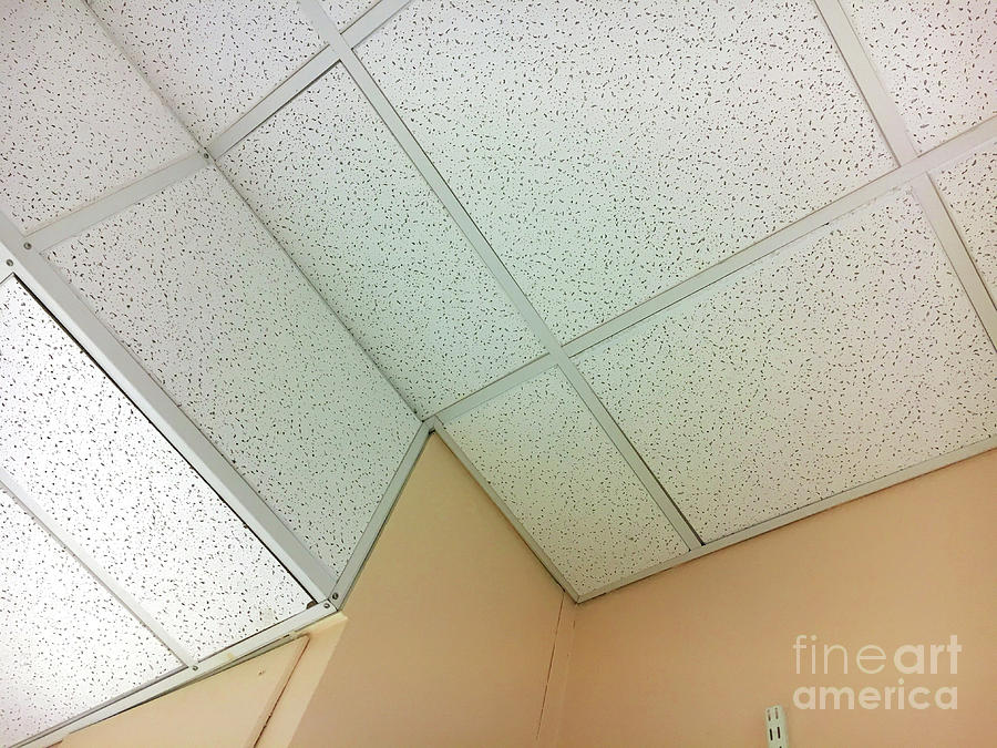 White Ceiling tiles Photograph by Tom Gowanlock