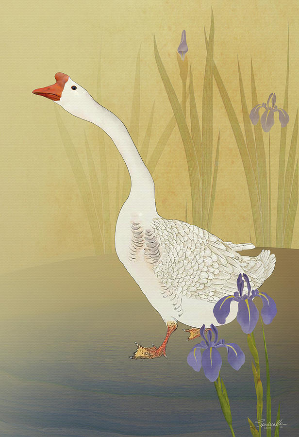 Chinese White Swan Goose Digital Art by M Spadecaller