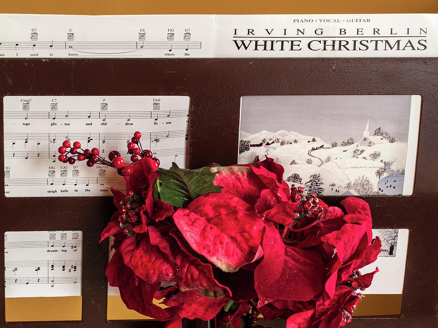 White Christmas Photograph by Stewart Helberg
