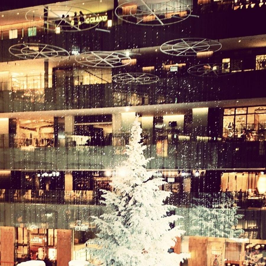 Christmas Photograph - White Christmas Tree @ Kitte by Nori Strong