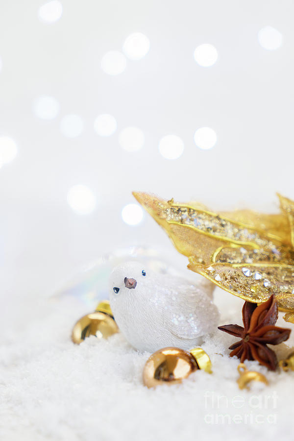 White and Silver Christmas  Photograph by Anastasy Yarmolovich