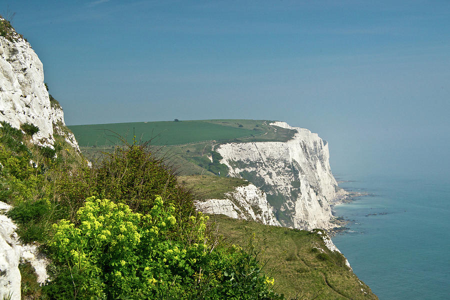 Flower Photograph - White Cliffs of Dover by Douglas Barnett