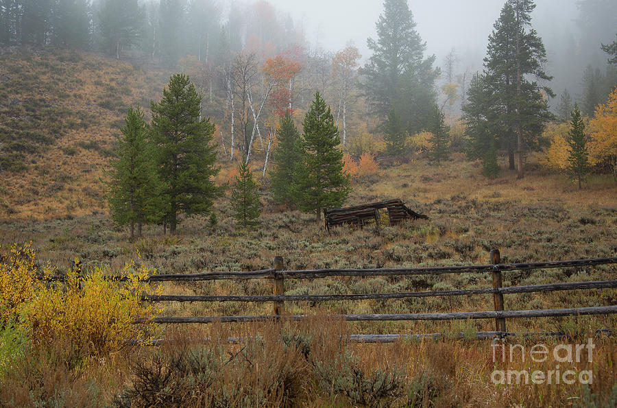 White Cloud Cabin Photograph by Idaho Scenic Images Linda Lantzy