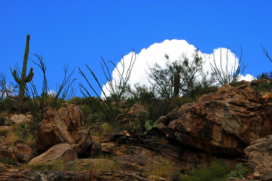 Spring Photograph - White Cloud Peeking over the Mountain by Teresa Stallings