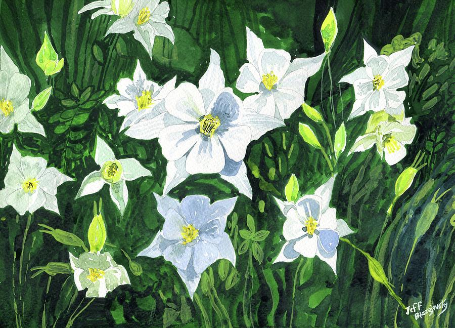 Flower Painting - White Colombines by Jeff Blazejovsky